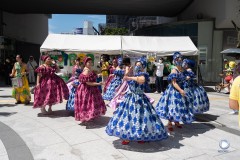 Escolas de Samba.  Foto: ©Alex Santos/Record TV Japan