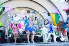 Festival Brasil 2022/Brazilian Day Tokyo. Foto: ©Alex Santos/Record TV Japan