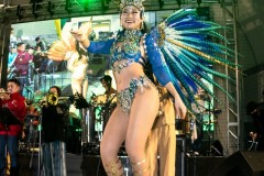 Festival Brasil 2022/Brazilian Day Tokyo. Foto:©Alex Santos/Record TV Japan