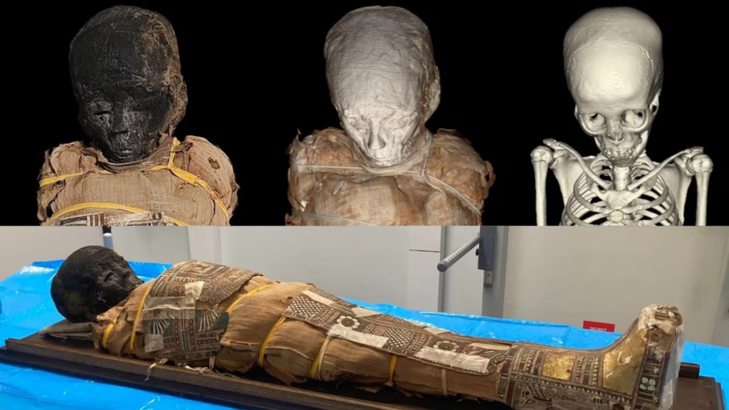 Estudo revela objeto misterioso no peito de múmia egípcia de criança