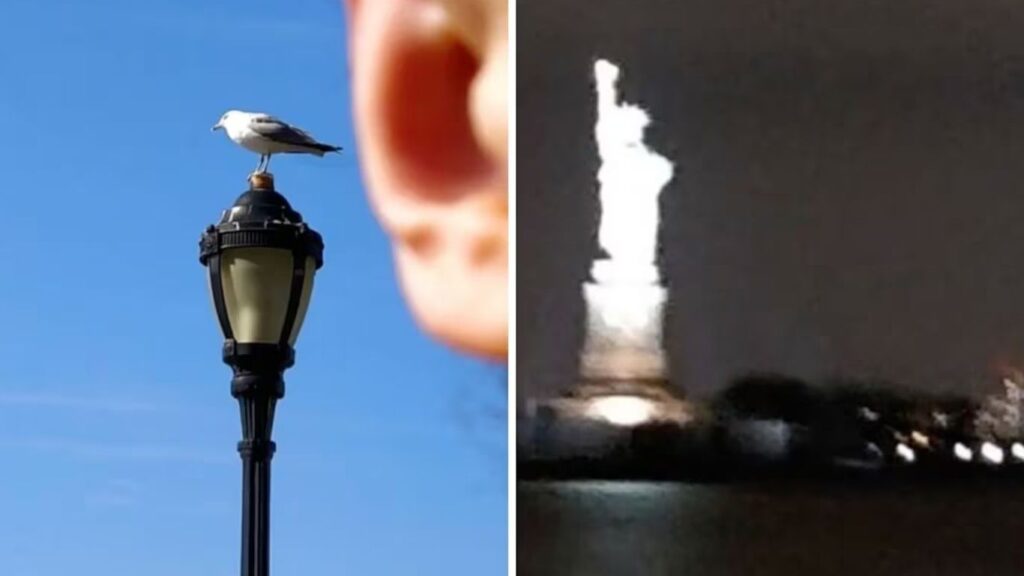 ‘Pior fotógrafa do mundo’ ganha R$ 280 mil para ‘trabalhar’ na Islândia