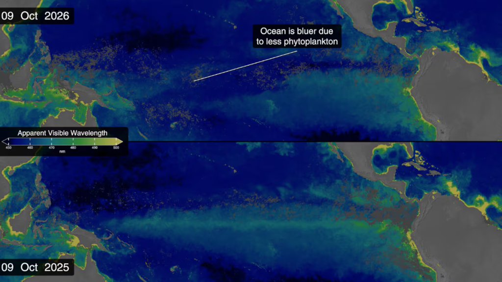 Como o El Niño está mudando a cor do Oceano Pacífico, segundo a Nasa